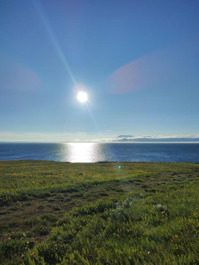 Happy-Cove Guesthouse - By The Sea Bakkafjorthur Екстер'єр фото