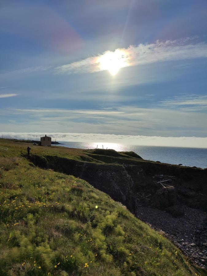 Happy-Cove Guesthouse - By The Sea Bakkafjorthur Екстер'єр фото