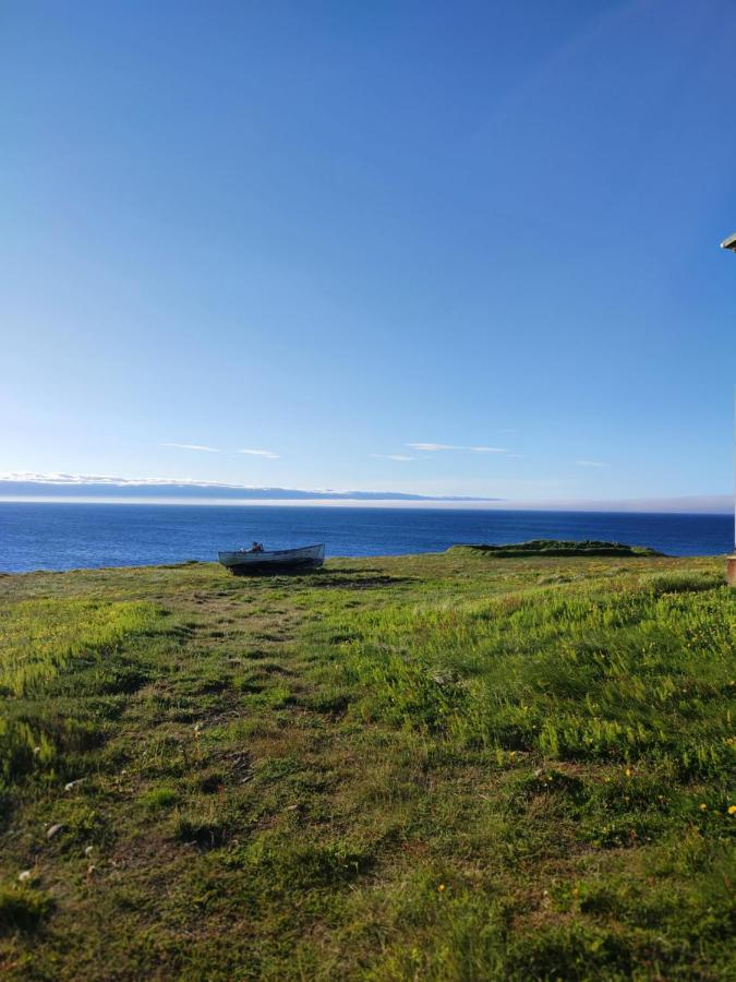 Happy-Cove Guesthouse - By The Sea Bakkafjorthur Екстер'єр фото
