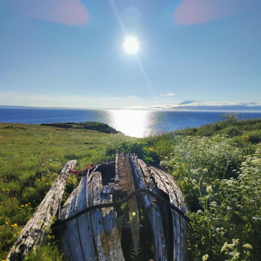 Happy-Cove Guesthouse - By The Sea Bakkafjorthur Екстер'єр фото